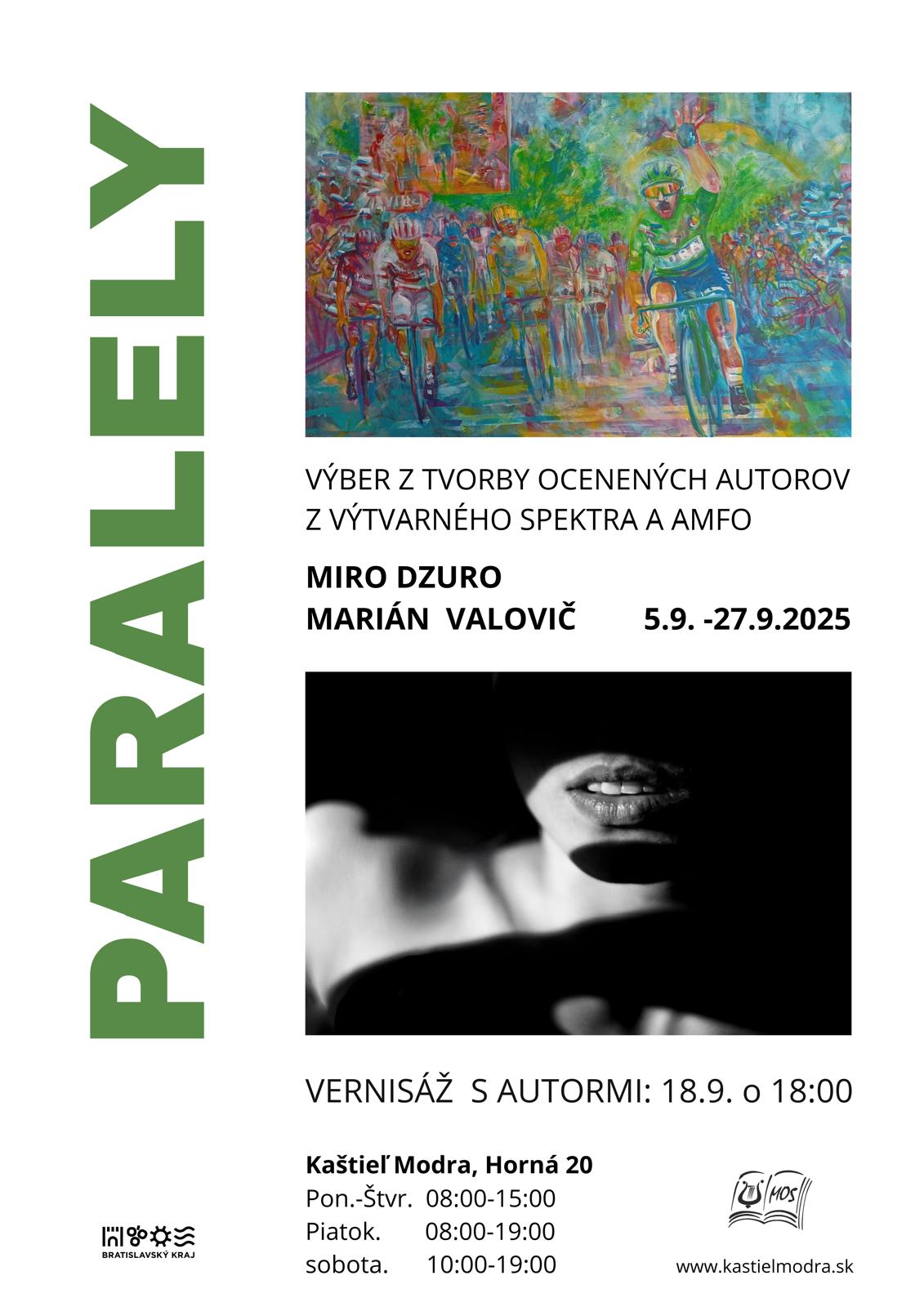 Plagát Dzur Valovič